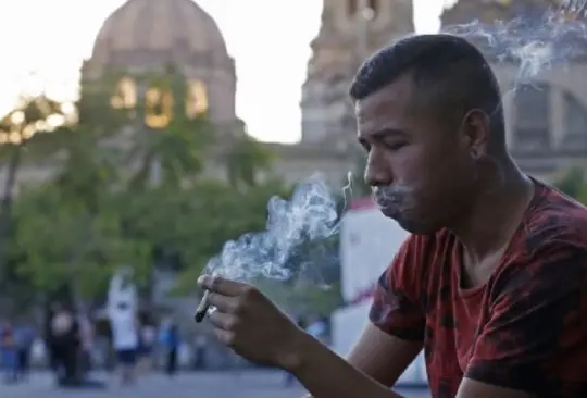 Senado aprueba despenalización de la marihuana en México