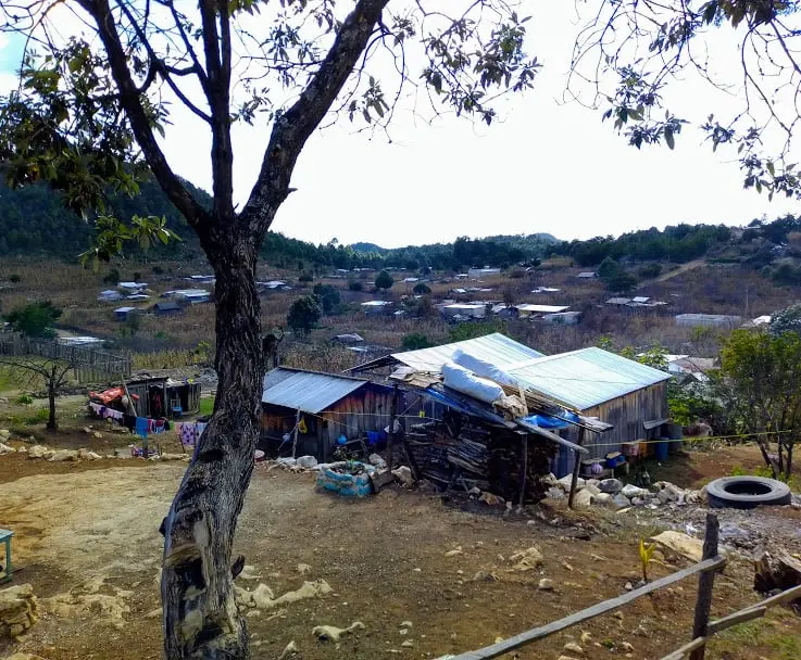 FOTO: Berenice Chavarría Tenorio