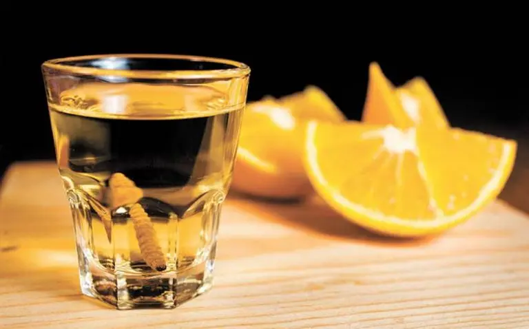 El mezcal es la bebida alcohólica por tradición de Oaxaca