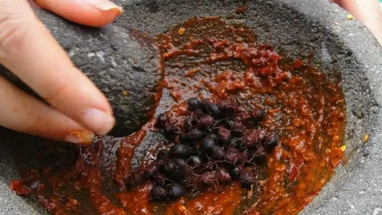Chicatanas