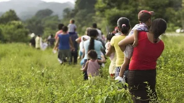 Desplazados por el narcotráfico