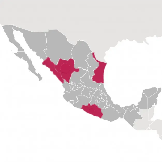 Los estados de Durango, Guerrero, Sinaloa y Tamaulipas son los más afectados.