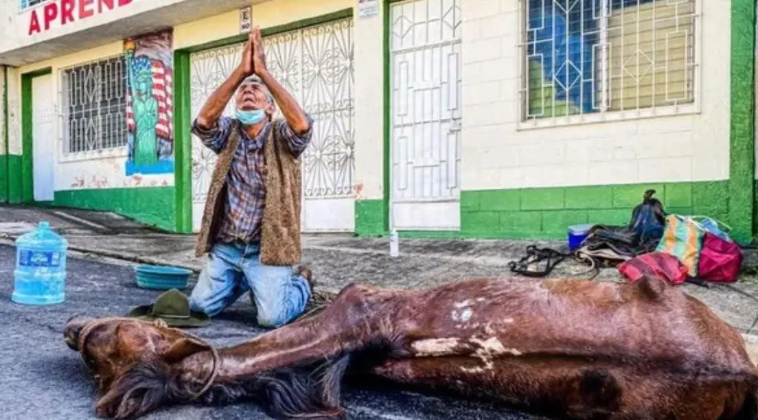 Don Carmelo llora por la muerte de Trencito. Foto: especial.