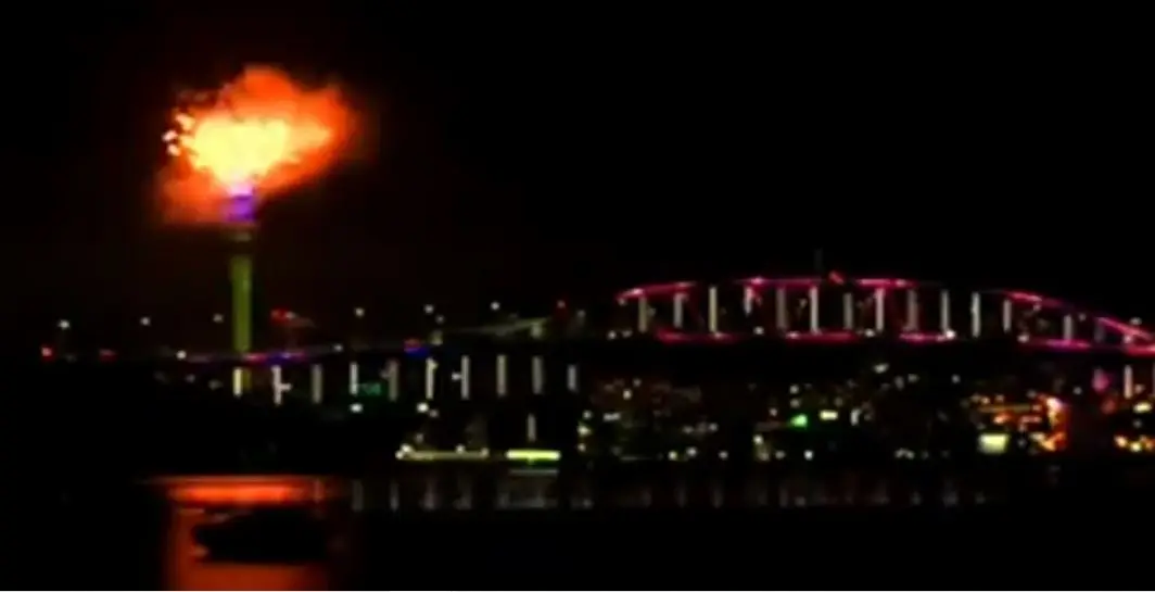 Nueva Zelanda también fue de los primeros países celebrar Año Nuevo. Foto captura de pantalla.