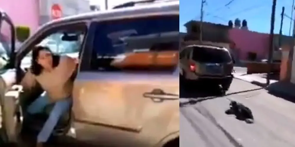Mujer es captada mientras arrastraba a un perro con su camioneta. Foto: especial (captura de pantalla).