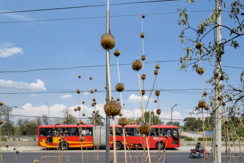 El Metrobús traslada a 950 mil personas diariamente (metrobus.cdmx.gob)