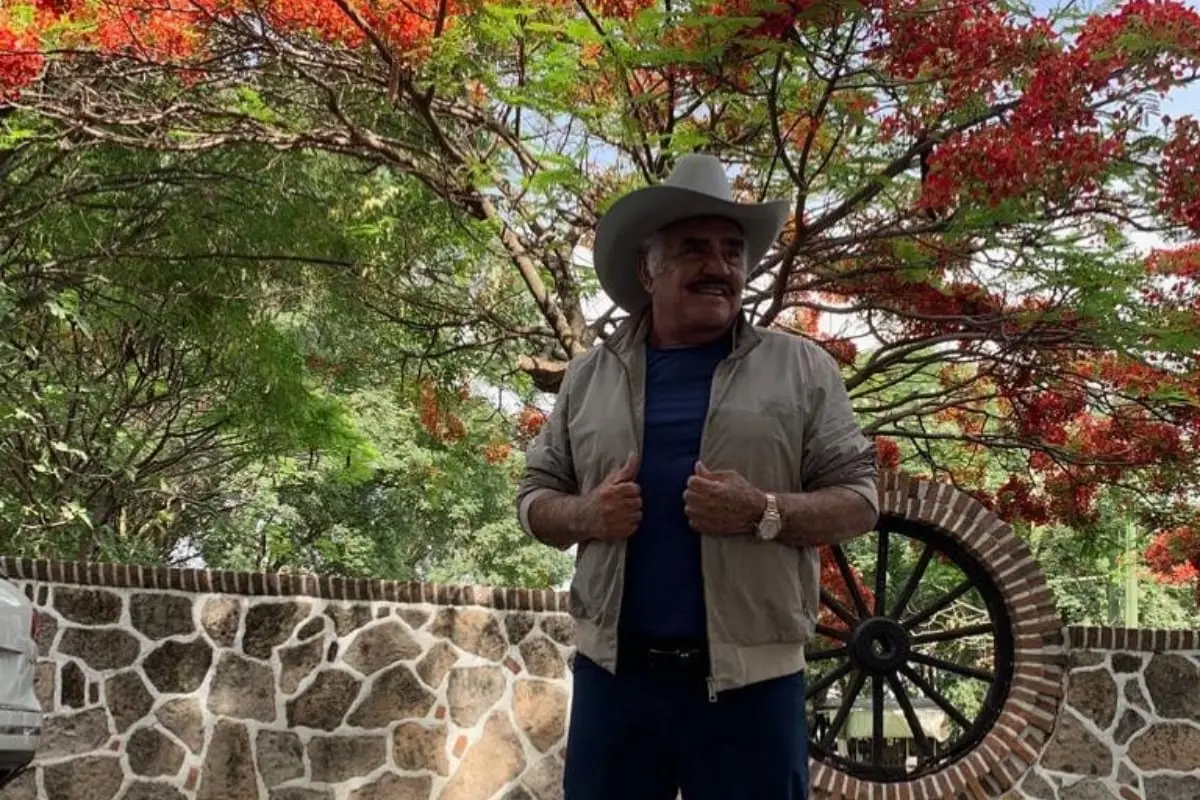 Vicente Fernández ya ofreció una disculpa (@_vicentefdez)