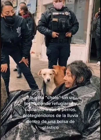 Foto: Captura de pantalla