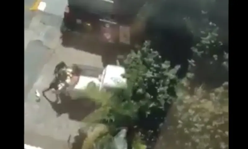 Trataron de subirlo a una camioneta (Especial)