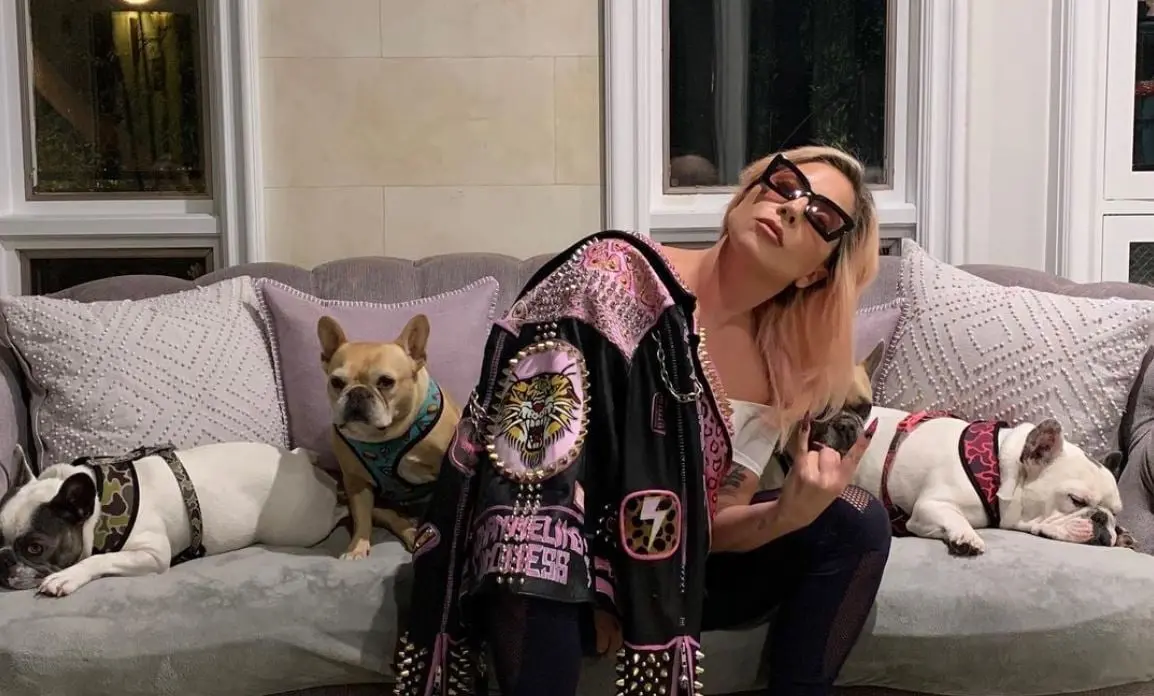 Lady Gaga con sus perros. Foto: Instagram ladygaga.