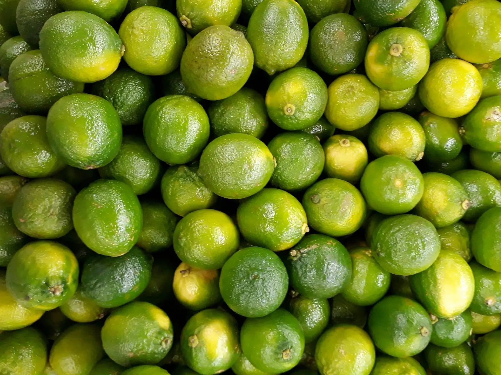 México ocupa el primer lugar a nivel mundial en la producción de limón verde