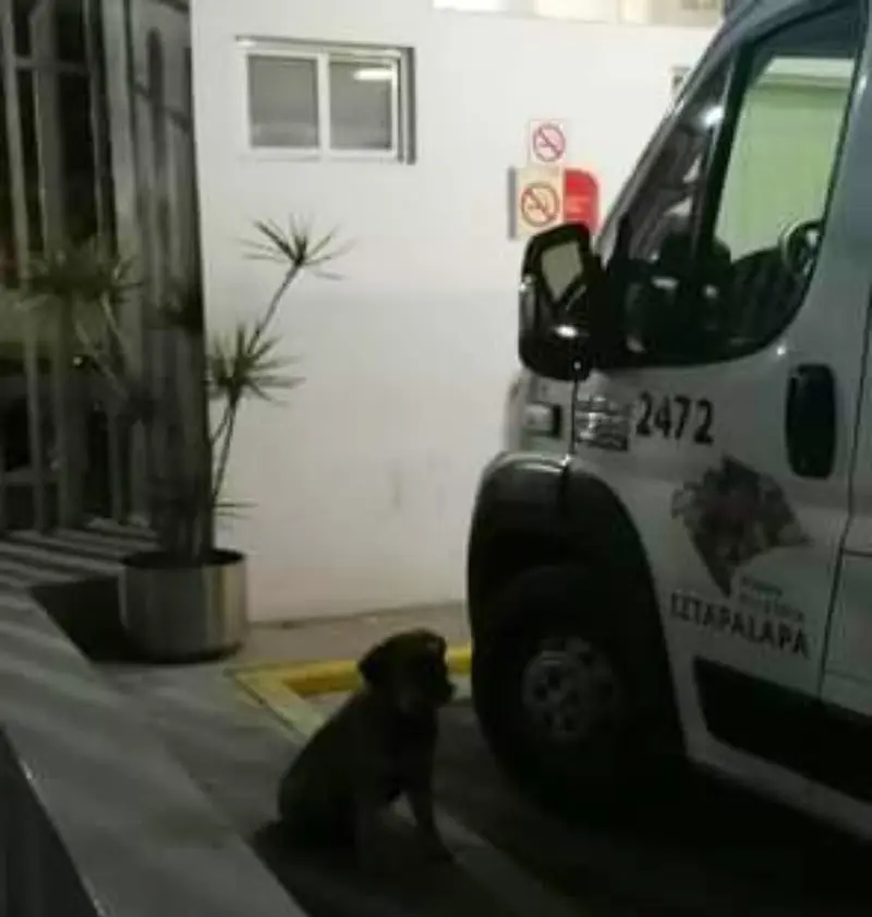 Espera al lado de la ambulancia (@MrElDiablo8)