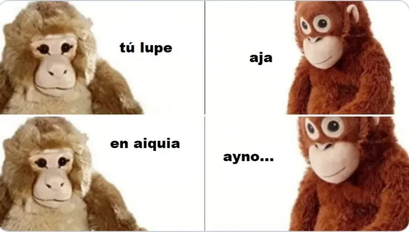 El humor no faltó (@Mig_Moguel)