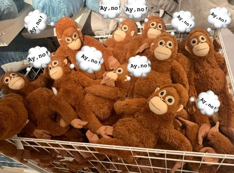 El anuncio ocasionó más memes (@BDvich)