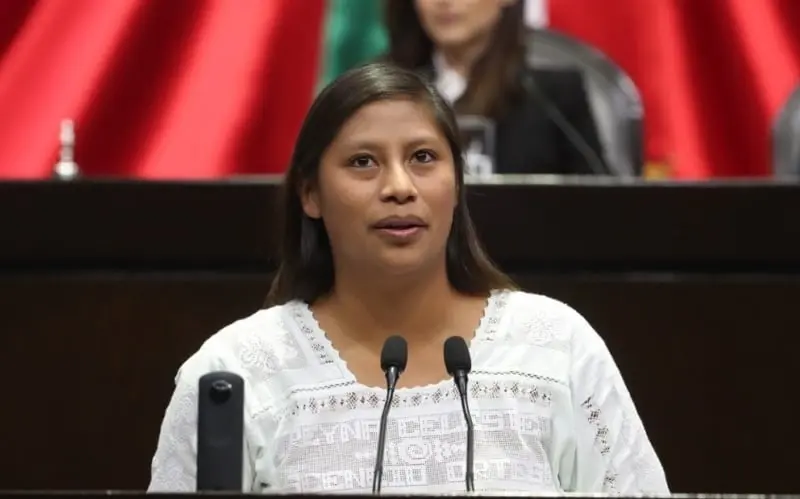 Reyna Ascencio, diputada de Morena (diputados.morena.gob.mx)