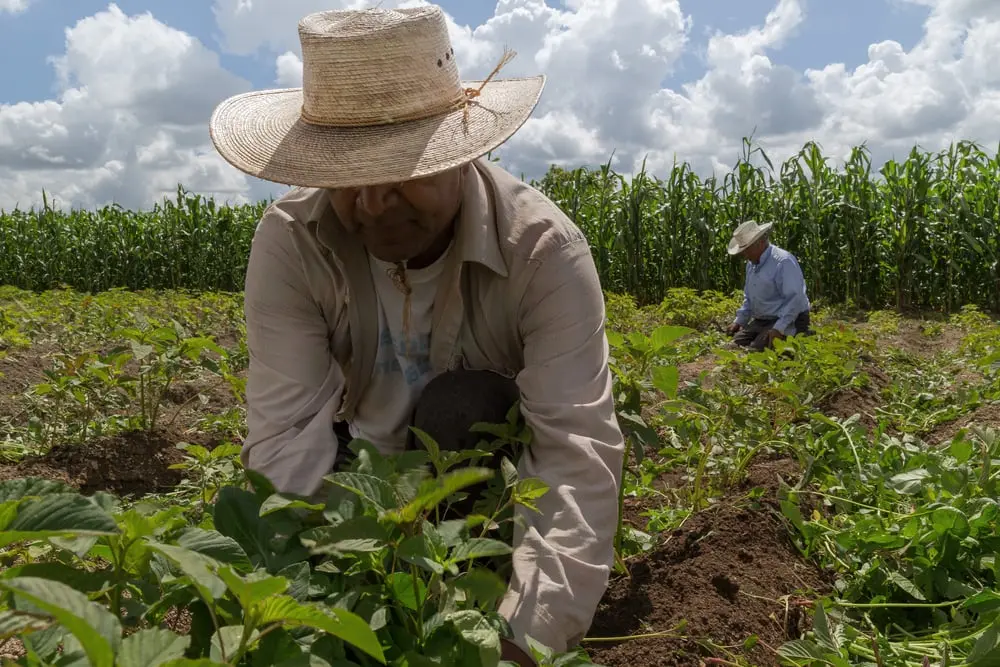 Si queremos ayudar a la tierra, lo ideal es consumir productos nacionales Foto: Shutterstock