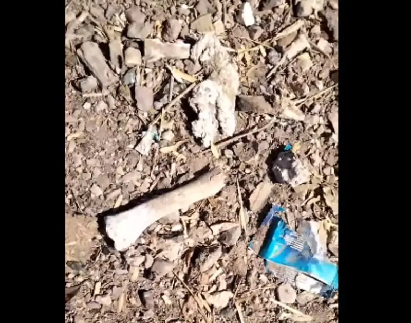 Uno de los fragmentos hallados (FB: Madres Buscadoras de Sonora)