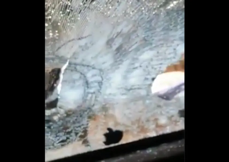 Rompieron un vidrio con la culata del arma (@MrElDiablo8)