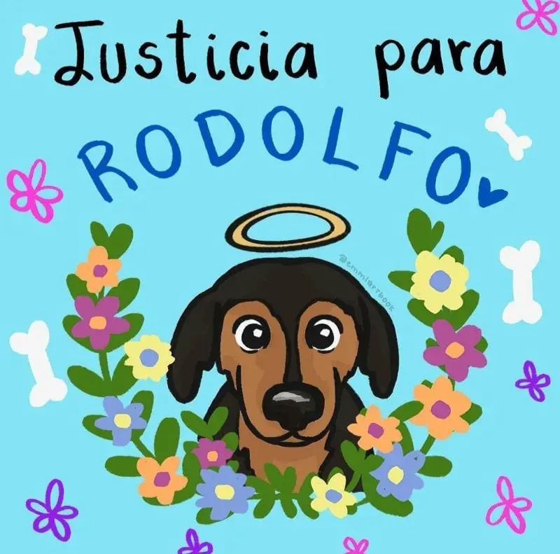 La pena sería de tres años en prisión (Especial)