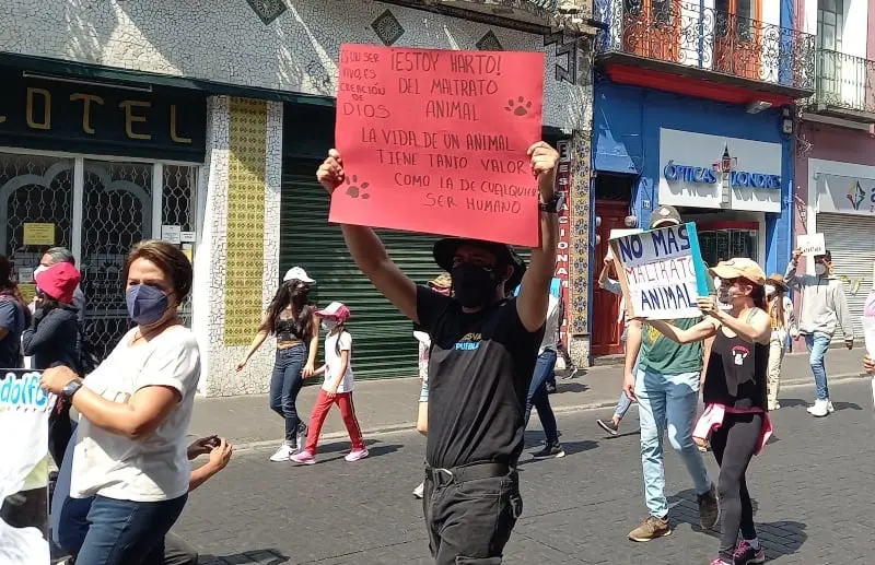 Decenas de personas se manifestaron en Puebla (@dulcgomez)