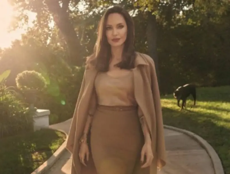 Calificó a Angelina Jolie como