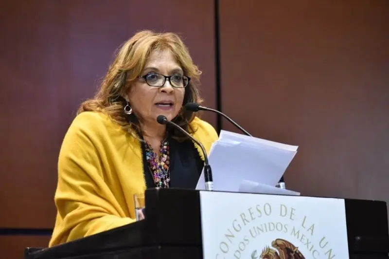 La diputada Huerta del Río (morena.diputados.gob.mx)