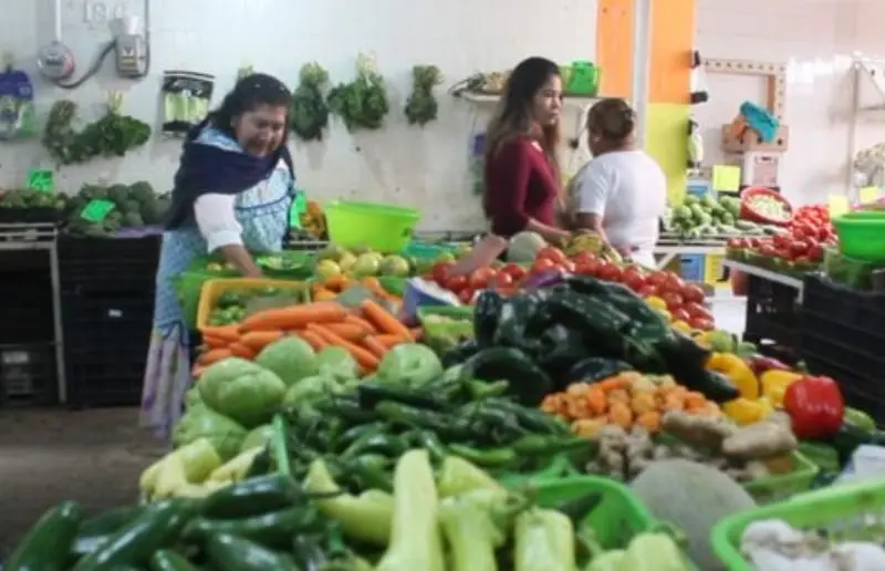 Aumentó el costo de la canasta básica en México (udg.tv)