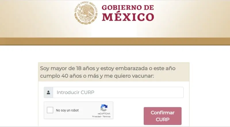 Así debe lucir la interfaz del sitio (mivacuna.salud.gob.mx)