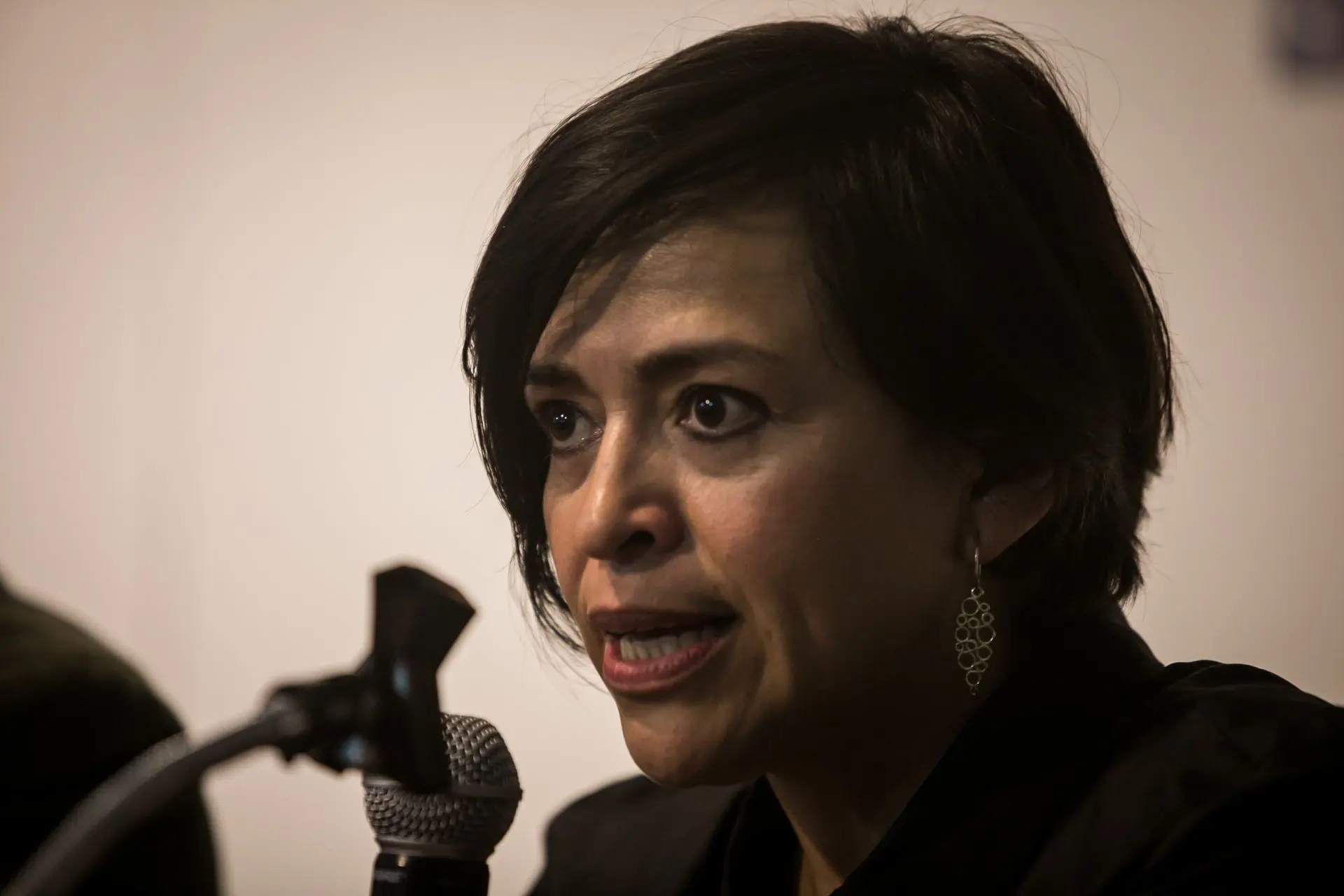 Anabel Hernández critica a AMLO por agradecer al narco. Foto: Rashide Frias (Cuartoscuro).