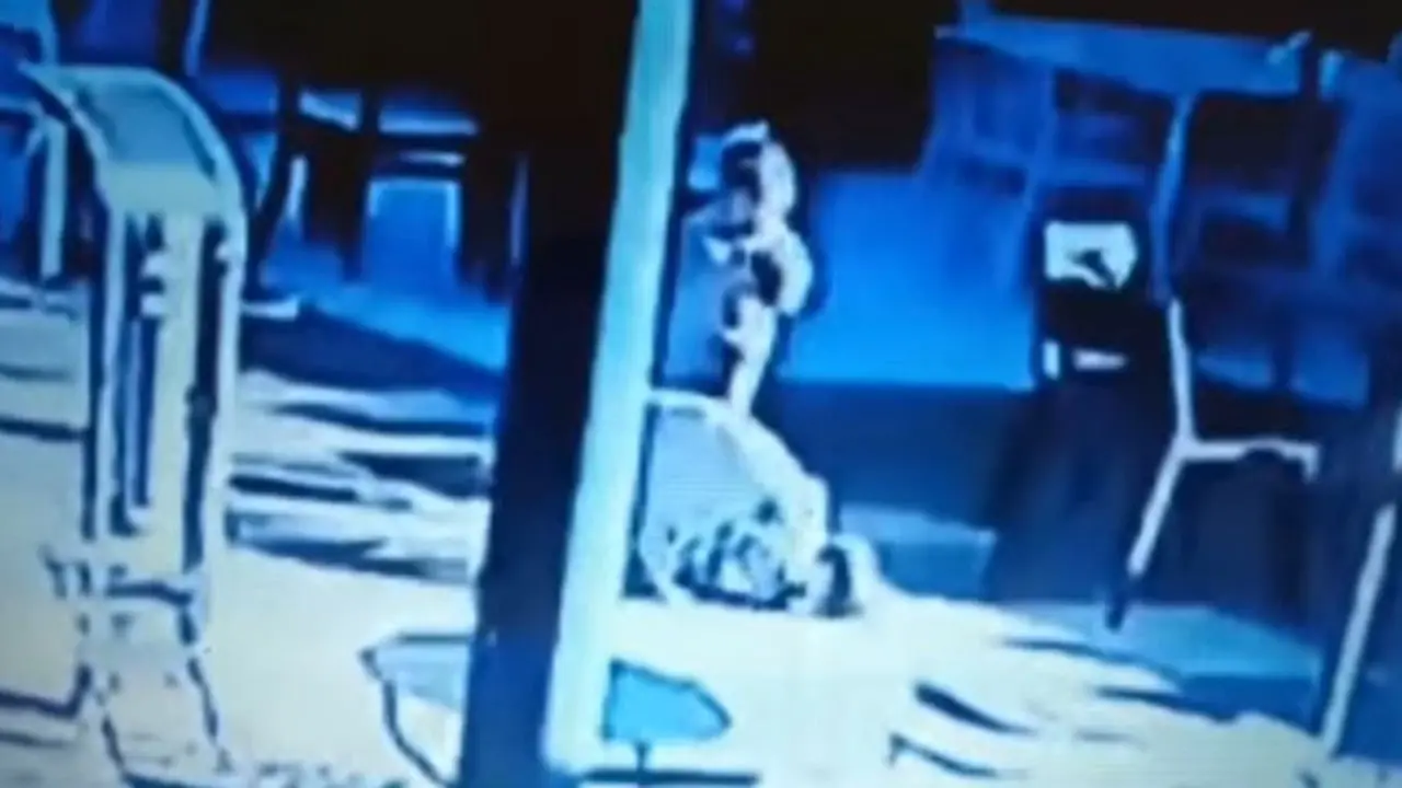Hombre mata a perro de una patada que supuestamente atacó a su hijo. Foto: especial.