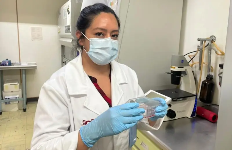 El biofármaco se encuentra en sus primeras etapas de desarrollo (@IPN_MX)