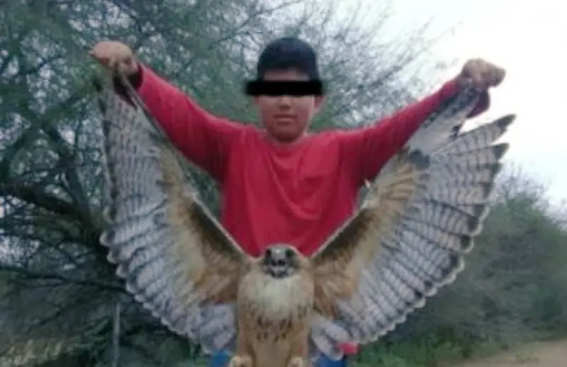 Cometería actos crueles contra otros animales (@MundoPatitas)