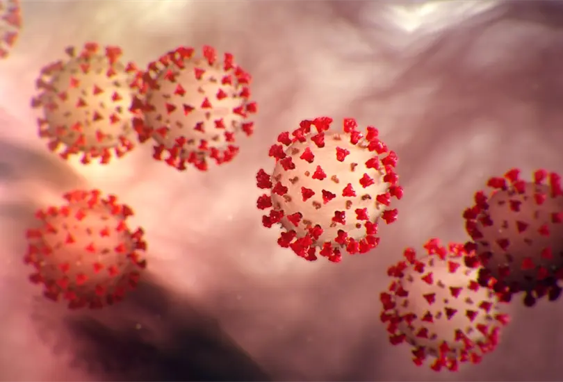 Reportan en M&eacute;xico primer caso de nueva cepa de coronavirus