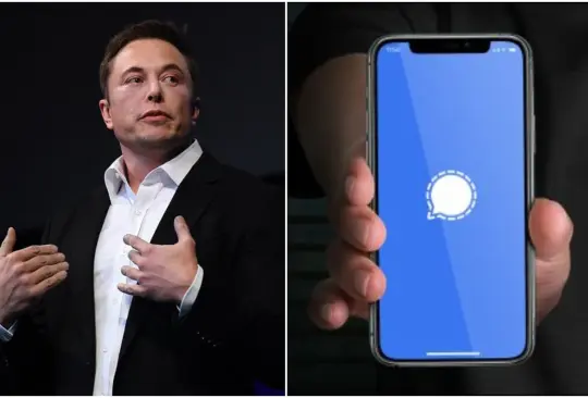 Los datos sobre Signal, la app que Elon Musk recomendó usar