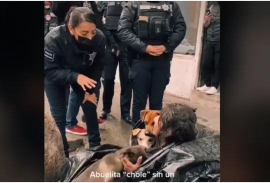 Abuelita hace refugio con una bolsa de plástico para proteger a sus perros de la lluvia