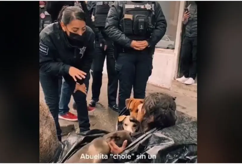 Abuelita hace refugio con una bolsa de pl&aacute;stico para proteger a sus perros de la lluvia