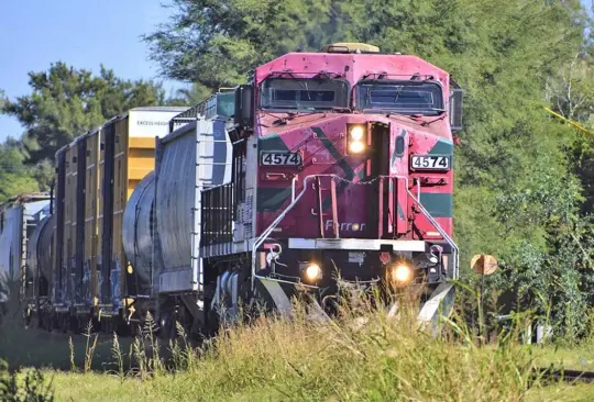 Persona de la tercera edad muere al salvar a perros de las vías del tren