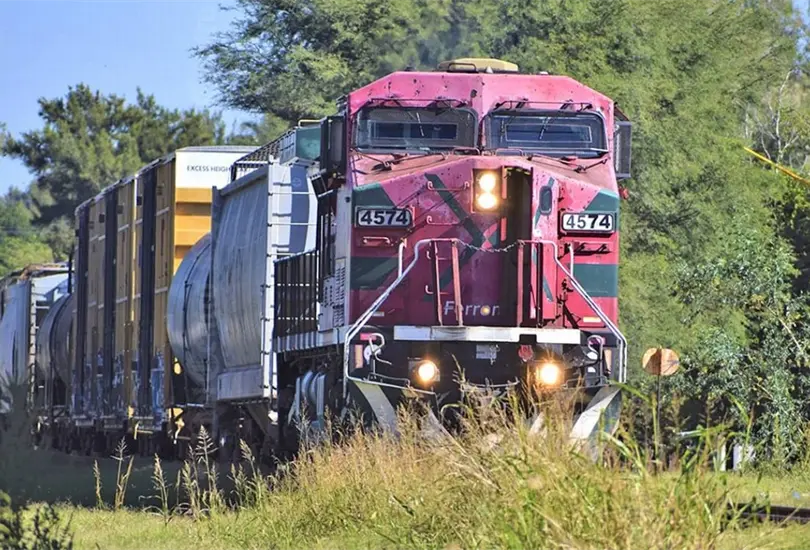 Persona de la tercera edad muere al salvar a perros de las vías del tren Persona de la tercera edad muere al salvar a perros de las vías del tren