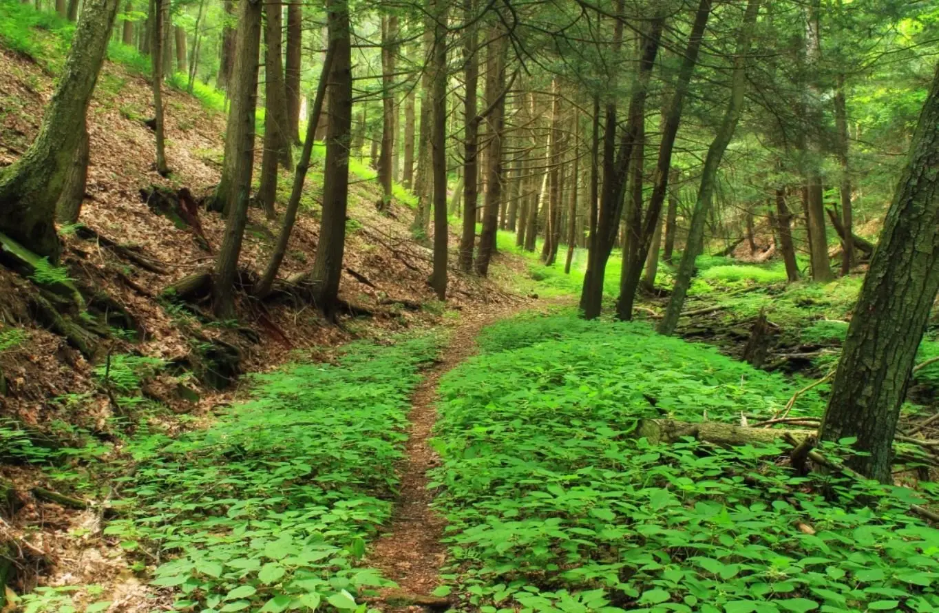 Estas son las carreras que más futuro tienen en México. Foto: especial.