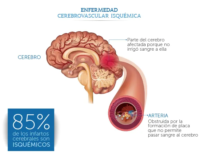 FOTO: Médica Sur