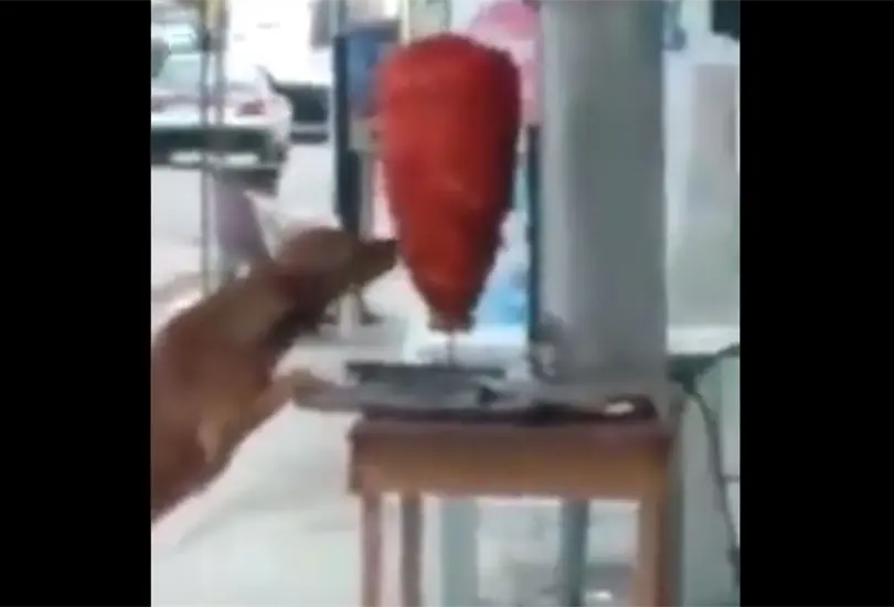 Captan a perrito dándole una mordida a trompo de tacos al pastor Captan a perrito dándole una mordida a trompo de tacos al pastor