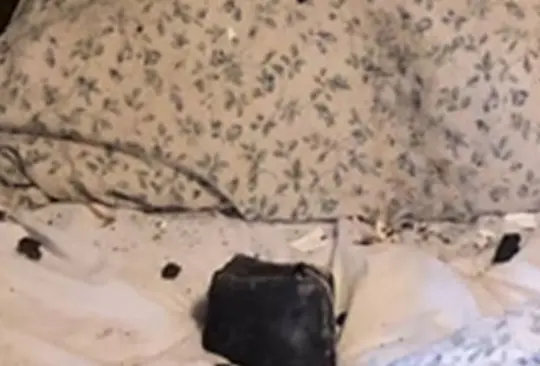 Meteorito atraviesa techo de casa y cae a centímetros de la cabeza de una mujer Meteorito atraviesa techo de casa y cae a centímetros de la cabeza de una mujer