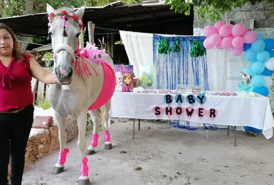 Se hace viral el baby shower de una yegua en Yucatán