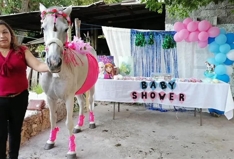 Se hace viral el baby shower de una yegua en Yucat&aacute;n