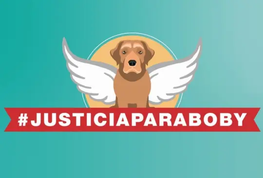 #JusticiaParaBoby: sujeto arrastra y mata a un perro; lo liberan por 500 pesos #JusticiaParaBoby: sujeto arrastra y mata a un perro; lo liberan por 500 pesos