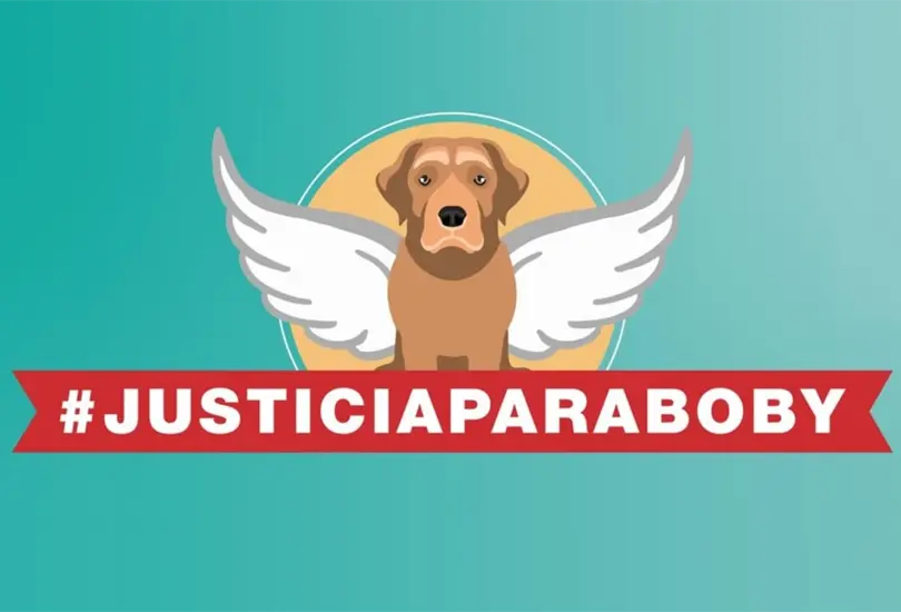 #JusticiaParaBoby: sujeto arrastra y mata a un perro; lo liberan por 500 pesos #JusticiaParaBoby: sujeto arrastra y mata a un perro; lo liberan por 500 pesos