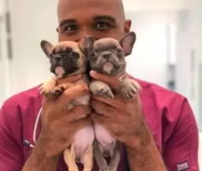 Dan 21 años de prisión a veterinario que abusaba de animales