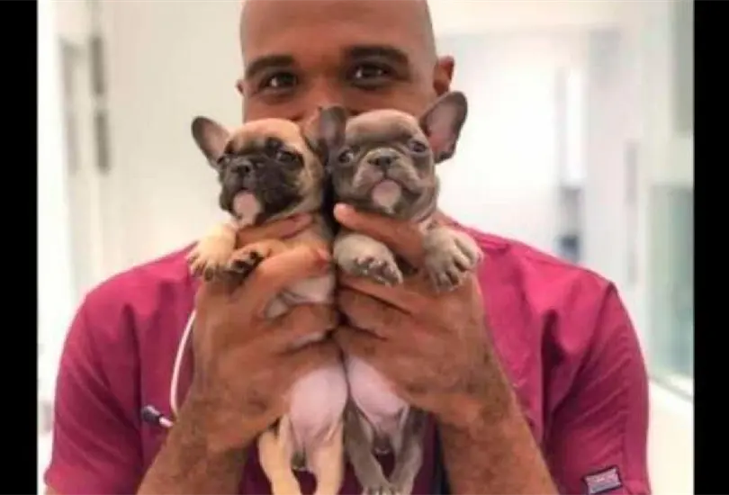 Dan 21 a&ntilde;os de prisi&oacute;n a veterinario que abusaba de animales
