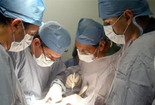 Médicos realizan trasplante de riñón de un cerdo a una persona