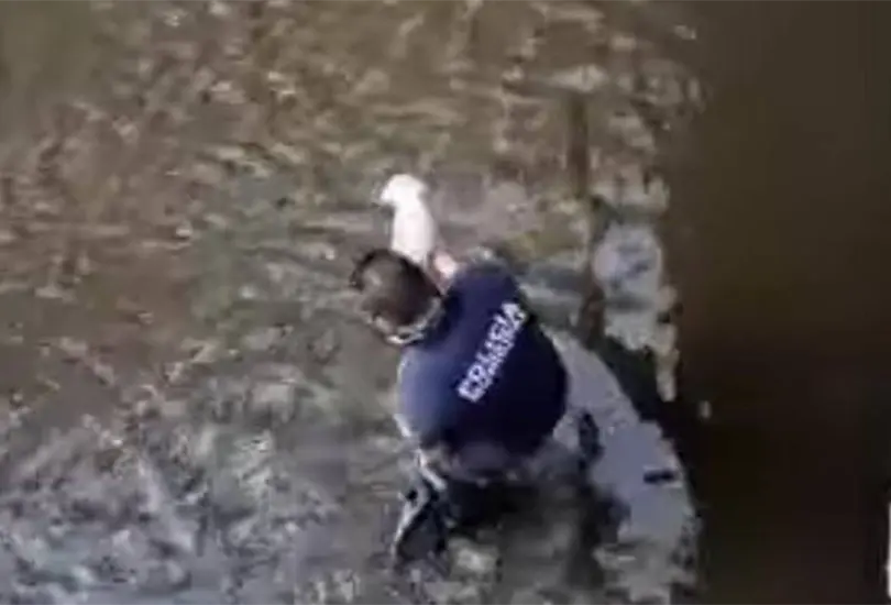 Video: Polic&iacute;a se mete a aguas negras para rescatar a un cachorro